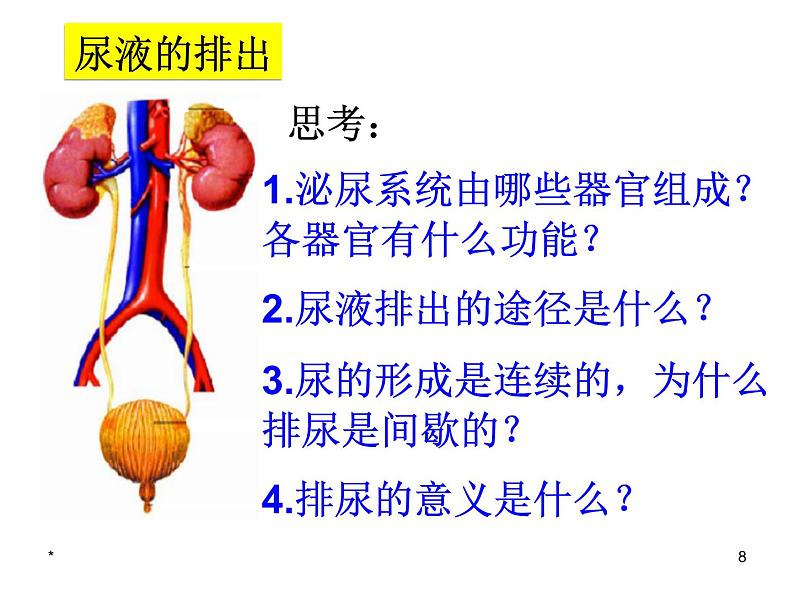 济南版七下生物 4.1尿液的形成和排出 课件08