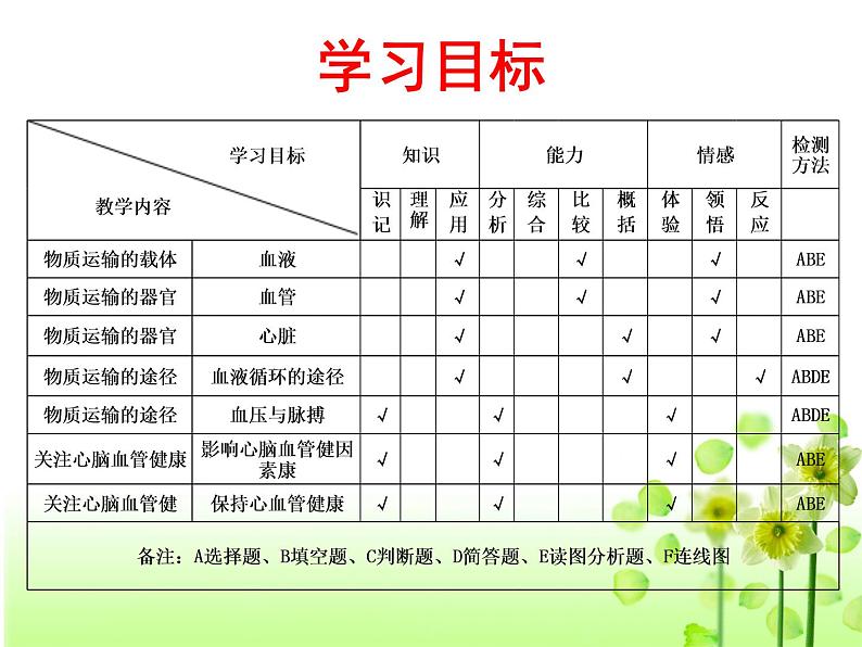 济南版七下生物 3.3物质运输的途径 课件第3页