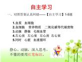 济南版七下生物 3.3物质运输的途径 课件