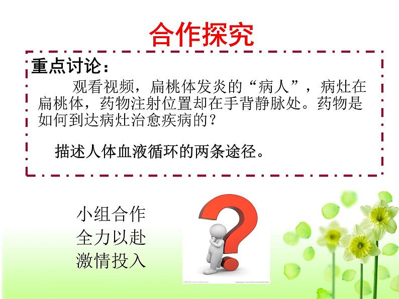 济南版七下生物 3.3物质运输的途径 课件第8页