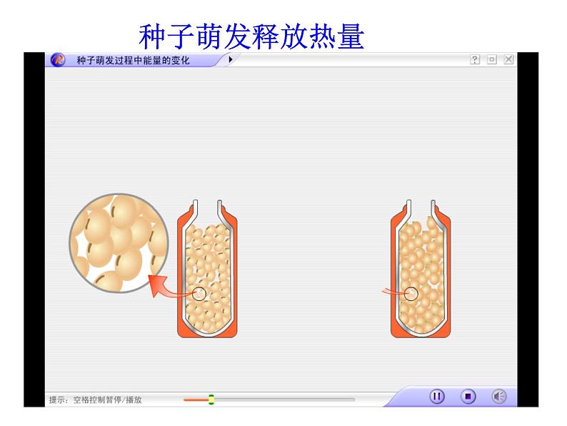 济南版七下生物 2.1人体与外界的气体交换 课件第6页