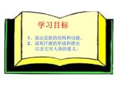济南版七下生物 4.2汗液的形成和排出 课件