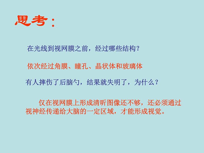 济南版七下生物 5.4人体对周围世界的感知 课件第8页