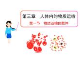 济南版七下生物 3.1物质运输的载体 课件