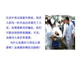 济南版七下生物 3.1物质运输的载体 课件