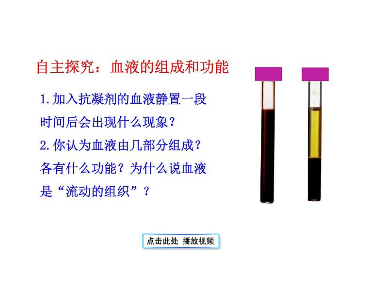 济南版七下生物 3.1物质运输的载体 课件06