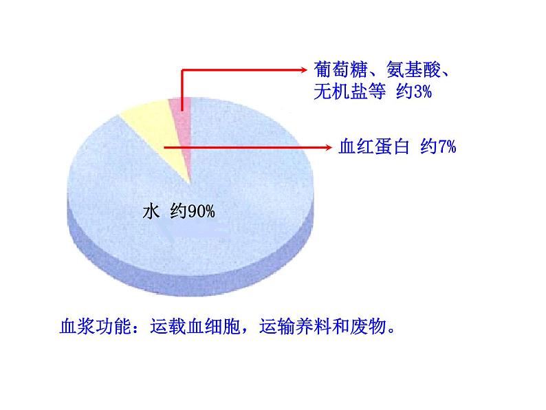 济南版七下生物 3.1物质运输的载体 课件07