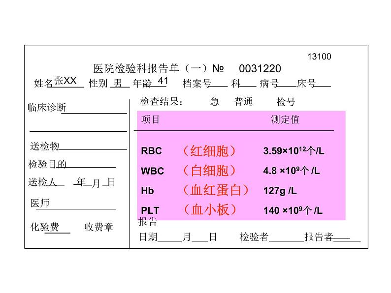 济南版七下生物 3.1物质运输的载体 课件08