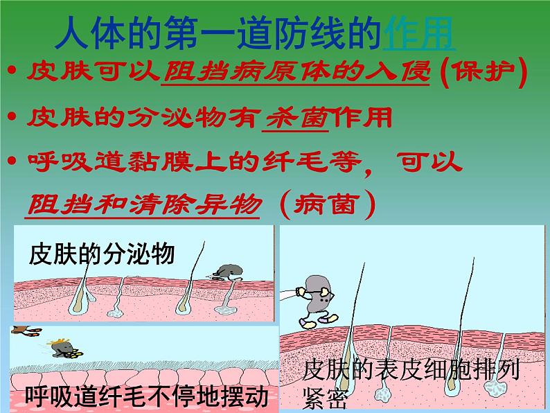 济南版七下生物 6.1人体的免疫功能 课件05