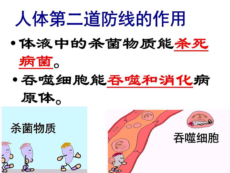 济南版七下生物 6.1人体的免疫功能 课件07