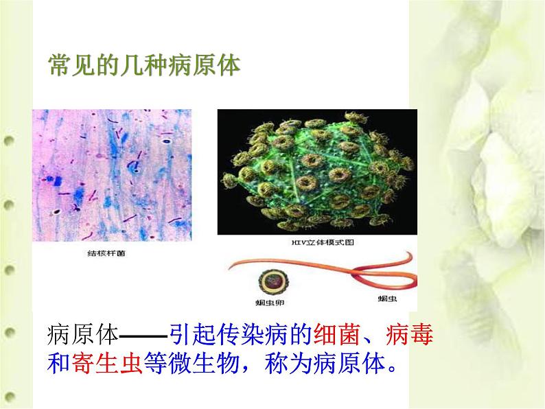 济南版七下生物 6.2传染病及其预防 课件第7页