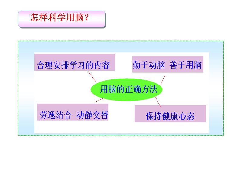 济南版七下生物 5.5神经系统的卫生保健  课件第7页