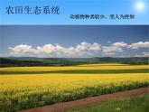 济南版八下生物  6.2.1生态系统的组成 课件