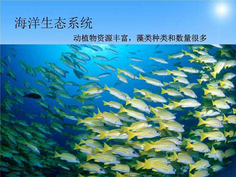 济南版八下生物  6.2.1生态系统的组成 课件07