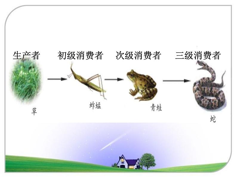 济南版八下生物  6.2.2食物链和食物网 课件第6页