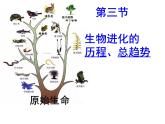 济南版八下生物  5.1.3生物进化的历程  课件