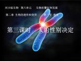 冀教版八下生物 6.2.1遗传 课件