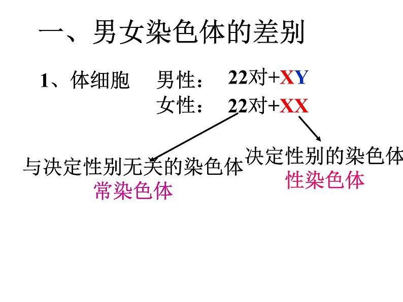 冀教版八下生物 6.2.1遗传 课件第8页