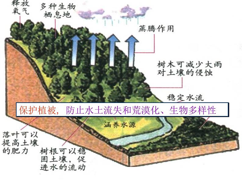 冀教版八下生物 7.3.4保护生态环境 课件第7页