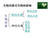 冀教版八下生物 7.1.1环境对生物的影响 课件