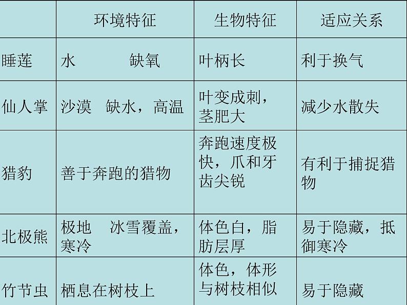 冀教版八下生物 7.1.2生物对环境的适应和影响 课件03