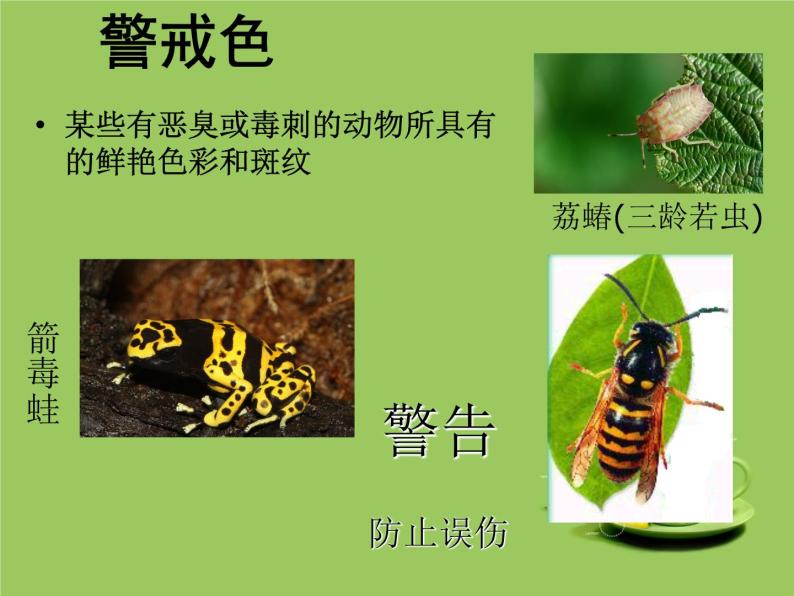 冀教版八下生物 7.1.2生物对环境的适应和影响 课件05
