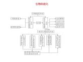 冀教版八下生物 6.3.2生物的进化 课件