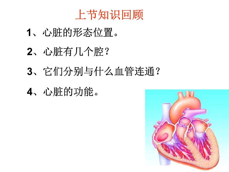 冀教版七下生物 2.3物质运输的路线 课件01