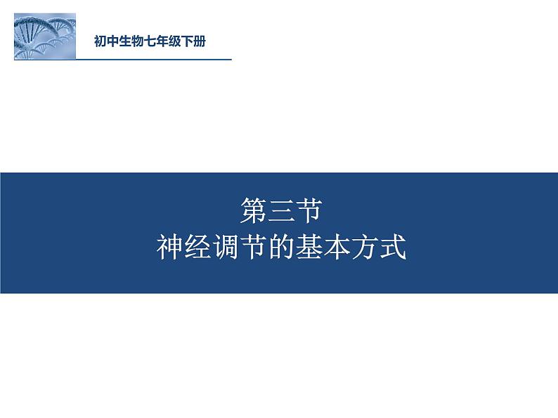 鲁科版（五四制）七下生物  4.6.3 神经调节的基本方式 课件01