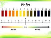 鲁科版（五四制）七下生物  4.7.2 探究环境污染对生物的影响 课件