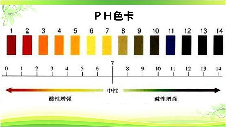 鲁科版（五四制）七下生物  4.7.2 探究环境污染对生物的影响 课件第4页