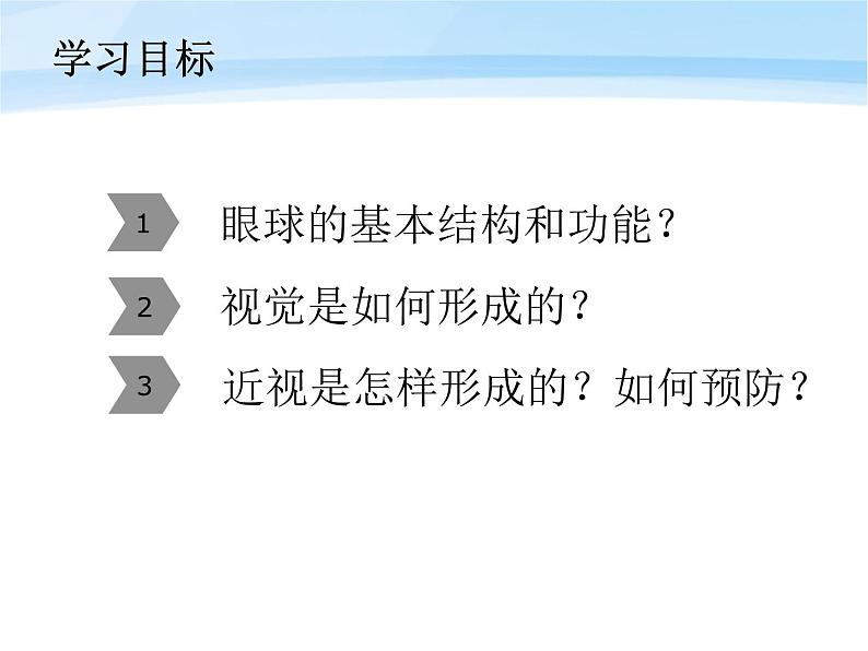 鲁科版（五四制）七下生物  4.6.1 人体对外界环境的感知 课件02