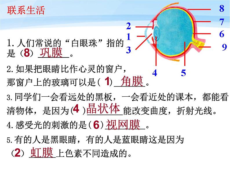 鲁科版（五四制）七下生物  4.6.1 人体对外界环境的感知 课件06