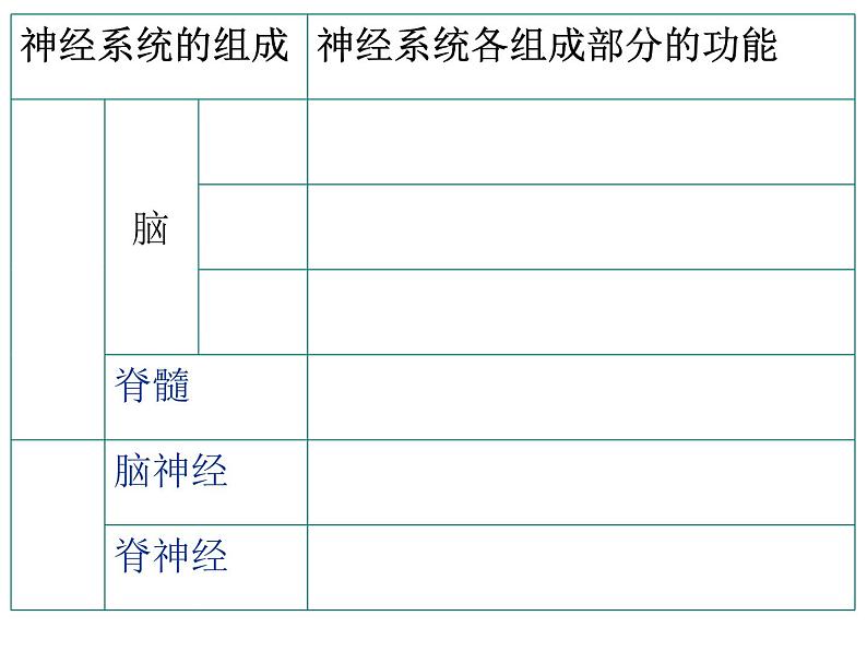 人教版七下生物 6.2神经系统的组成 课件第5页