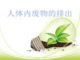 人教版七下生物 5人体内废物的排出  课件