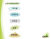 人教版七下生物 5人体内废物的排出  课件