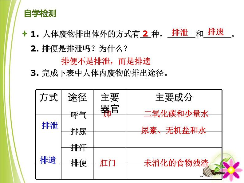 人教版七下生物 5人体内废物的排出  课件03