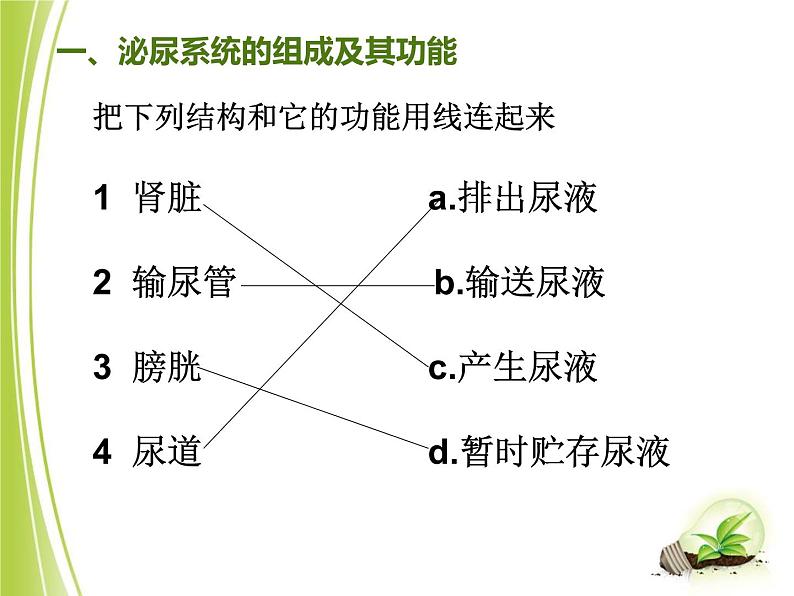 人教版七下生物 5人体内废物的排出  课件04