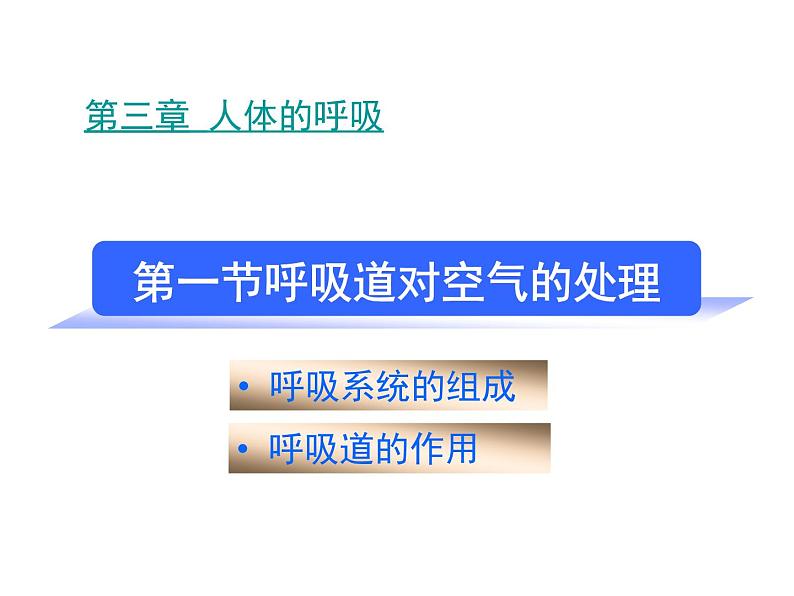 人教版七下生物 3.1呼吸道对空气的处理  课件01