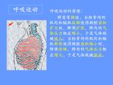 人教版七下生物 3.2发生在肺内的气体交换  课件