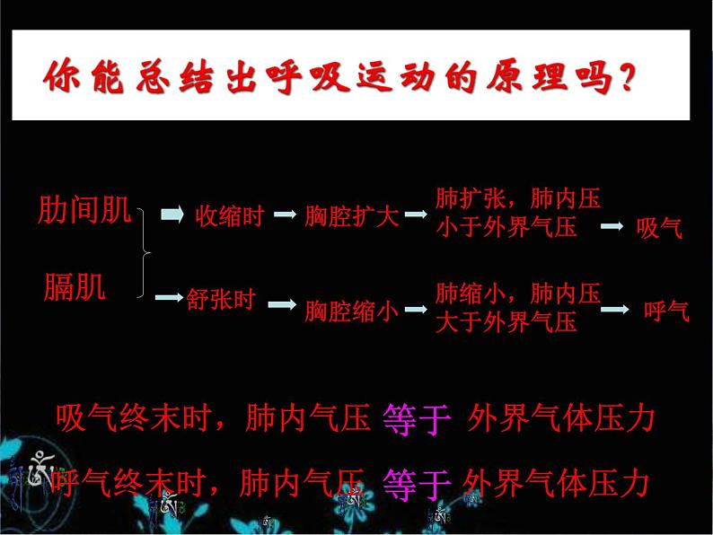 人教版七下生物 3.2发生在肺内的气体交换  课件第7页