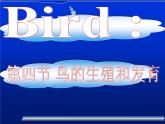 人教版八下生物  7.1.4鸟的生殖和发育 课件