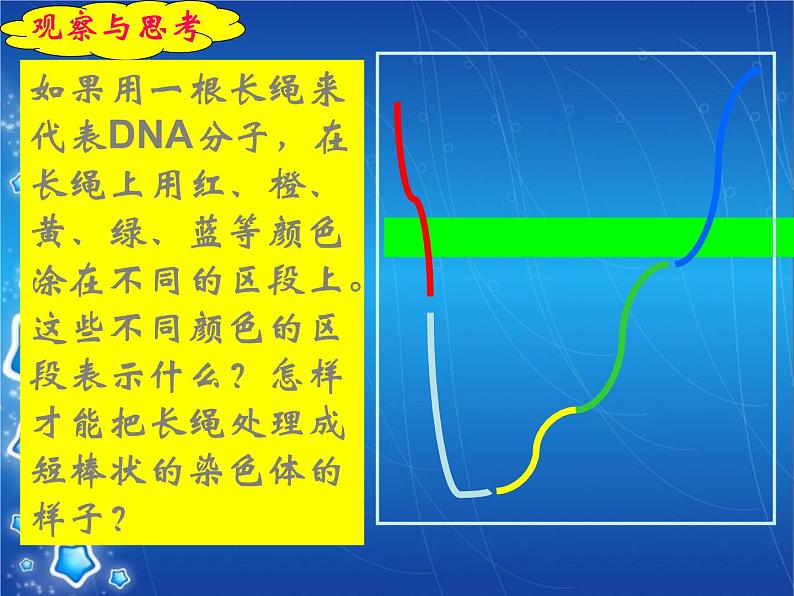 人教版八下生物  7.2.2基因在亲子代间的传递 课件第7页