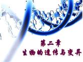 人教版八下生物  7.2.1基因控制生物的性状 课件