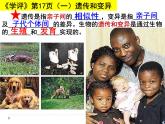 人教版八下生物  7.2.1基因控制生物的性状 课件