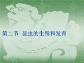 人教版八下生物  7.1.2昆虫的生殖和发育 课件
