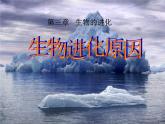人教版八下生物  7.3.3生物进化的原因 课件