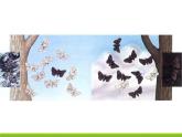 人教版八下生物  7.3.3生物进化的原因 课件