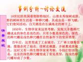 人教版八下生物  7.3.3生物进化的原因 课件