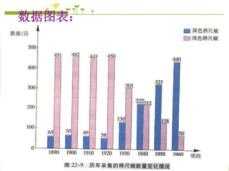 人教版八下生物  7.3.3生物进化的原因 课件04